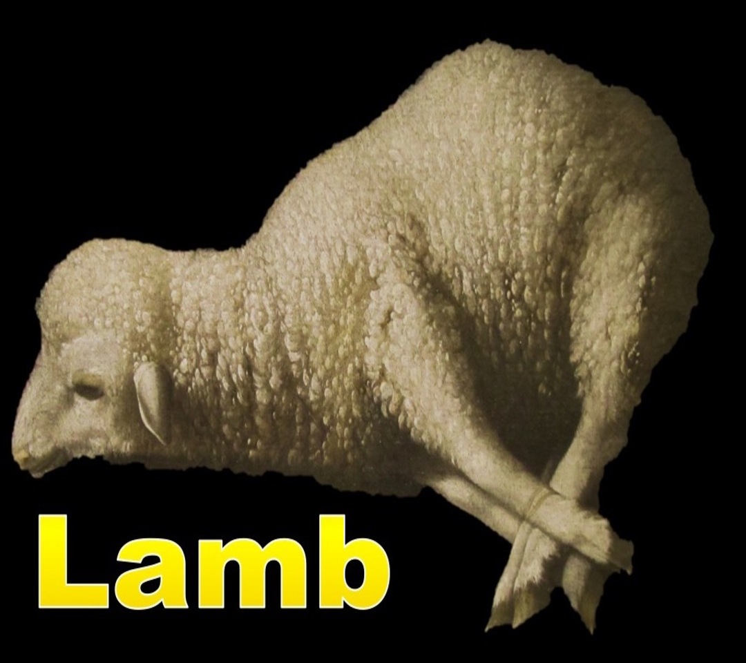 Isaiah 53:7 Led As A Lamb To The Slaughter (white)